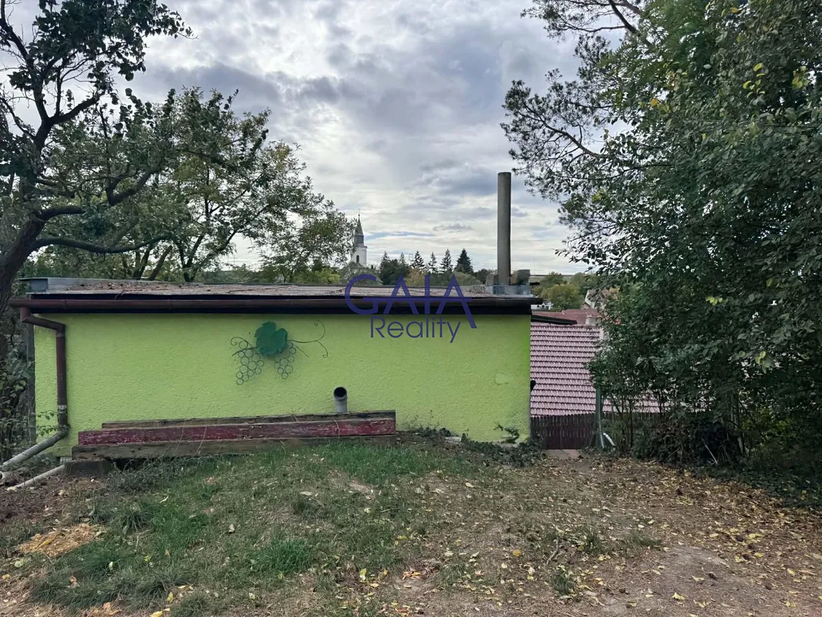 Fotka 10 z 14